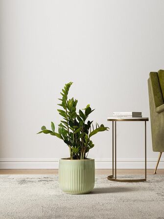 Набір горщиків для квітів LE TAUCI 3шт, кераміка, 21+17+14 см, з дренажними отворами