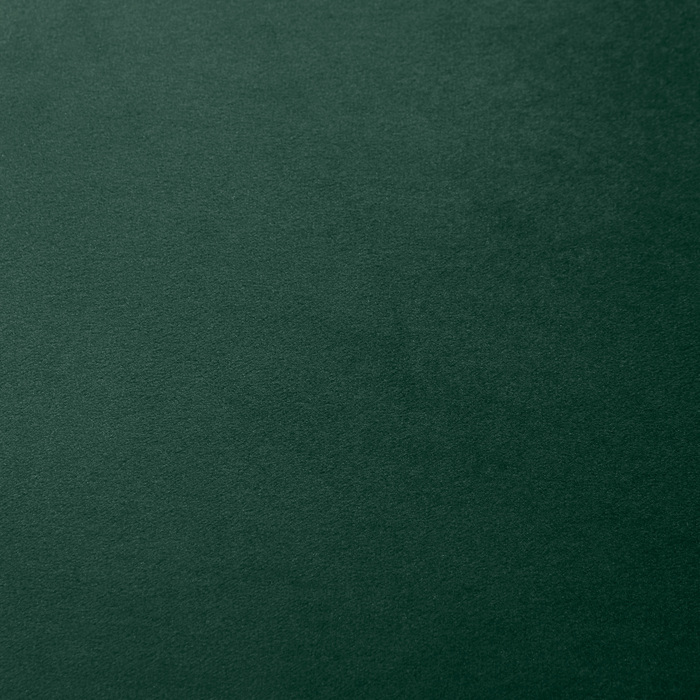 HOMCOM Набір з 2-х обідніх стільців для кухні, акцентні крісла, 52 см x 54 см x 79 см, зелені