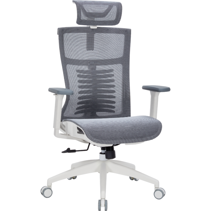 Крісло офісне OfficePro Balance OC620-W-DG-DG