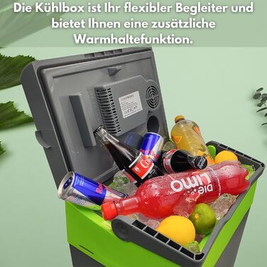 Термобокс-холодильник електричний 30л Gora Grey/Gilmo Green для авто, кемпінгу, пікніка