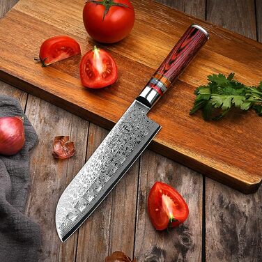 Японський ніж Gyuto FANTECK з дамаської сталі 20 см (67 шарів VG-10) - професійний кухонний ніж з ручкою з паккавуду, в подарунковій коробці