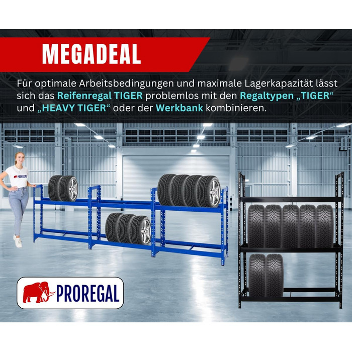 Стійка для шин PROREGAL Tiger: 100x110x35 см, 150 кг навантаження, до 8 шин, 2 яруси, чорний колір