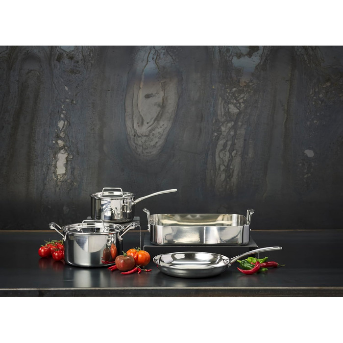 SCANPAN Fusion 5 сковорода з нержавіючої сталі 24 см | Індукційна, для всіх плит, з антипригарним покриттям, для духовки