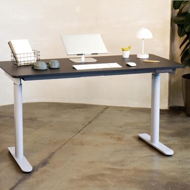 Ergotopia Desktopia One – Регульований стіл, електричний, з подвійним мотором, TÜV-сертифікований, 7 років гарантії (платиновий сірий)