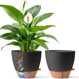 розмір: 30 см