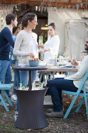 Столик-холодильник Keter Pacific Cool Bar: 3-в-1 (стіл, журнальний столик, кулер) для відпочинку на відкритому повітрі, 30л, колір коричневий