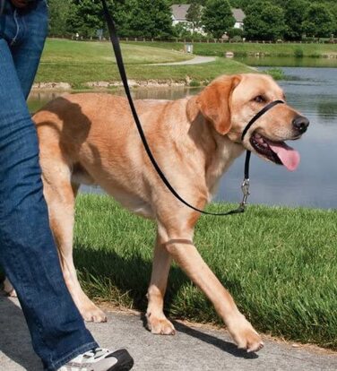 Підголівник PetSafe Easy Walk виготовлений з міцного і м'якого нейлону, легко надівається і знімається, Розмір L, Чорний