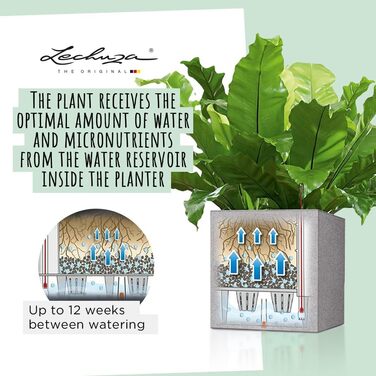 Горщик LECHUZA CUBE Color Triple Sandbraun (40x14x13,5 см)