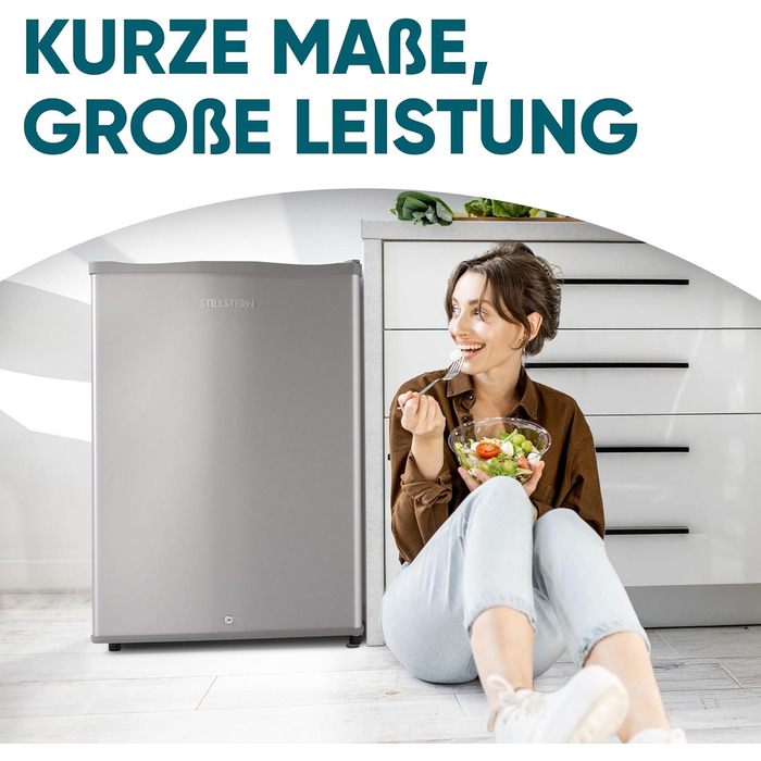 Stillstern Міні морозильник 42L -18°C з формою для льоду, замком, змінним напрямком відкривання дверцят, 4-зірковий глибокий заморожувач для кемпінгу/офісу. Срібний колір.