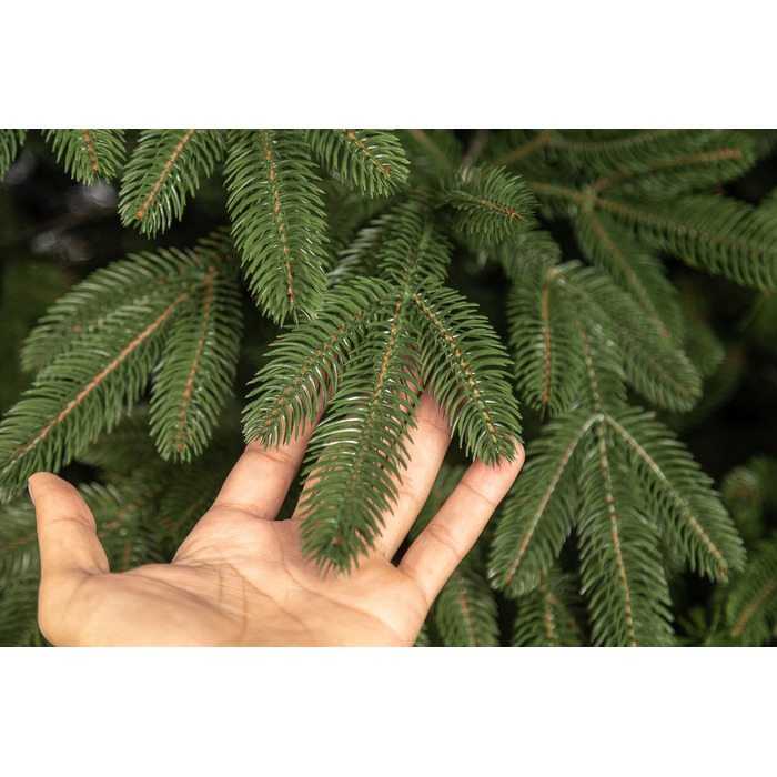 Ялинка лита 'Лапландська' ПАРАСОЛЬКА ЗЕЛЕНА 2,10м
