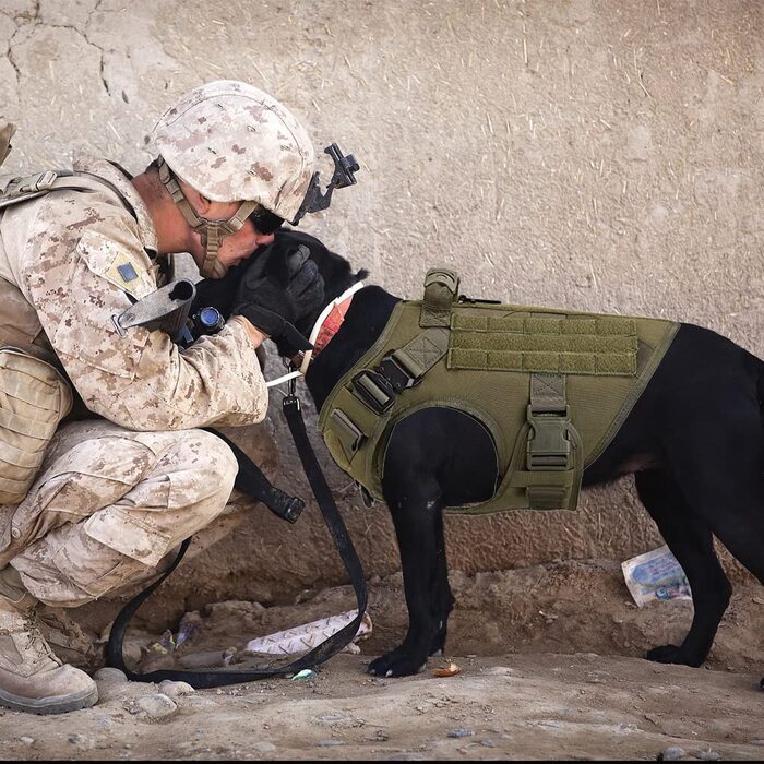 Тактична шлейка для собак з ручкою і сіткою робочий тактичний жилет для собак нагрудний ремінь для великих собак Регульований жилет без шлейки для прогулянок тренування (армійський зелений, S)