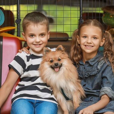 Сітка для собак у машину Relaxdays, універсальна, велика