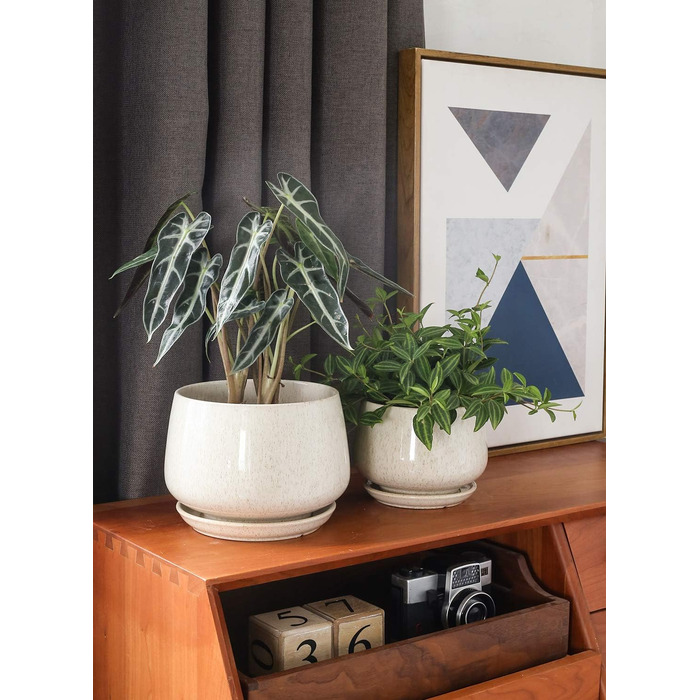 Керамічні горщики LE TAUCI з підставкою, 10+13+16 см, набір 3 шт. для кімнатних рослин, з дренажним отвором, бежева реактивна глазур