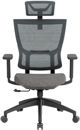 Крісло офісне OfficePro Elegant OC600-B-DG-DG