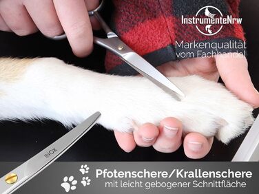 Ножиці для догляду за тваринами 12 см, закруглені, для собак, котів та інших домашніх тварин - нержавіюча сталь