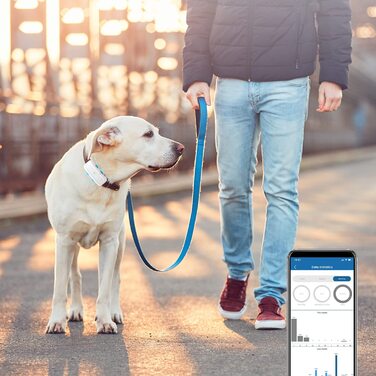 Трекер Zeerkeer 4G для собак відстеження місцезнаходження домашніх тварин зі звуковою та світловою сигналізацією в додатку водонепроникний IP66 700 мАг трекер для домашніх тварин відстеження в реальному часі безкоштовний додаток / платформа Без підписки (