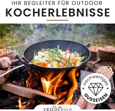 Вок з чавуну Friedewald® з кришкою, 29 см, для 2-4 осіб, сумісний з індукцією, для всіх плит, антипригарне покриття, високий борт, каструля-сковорода