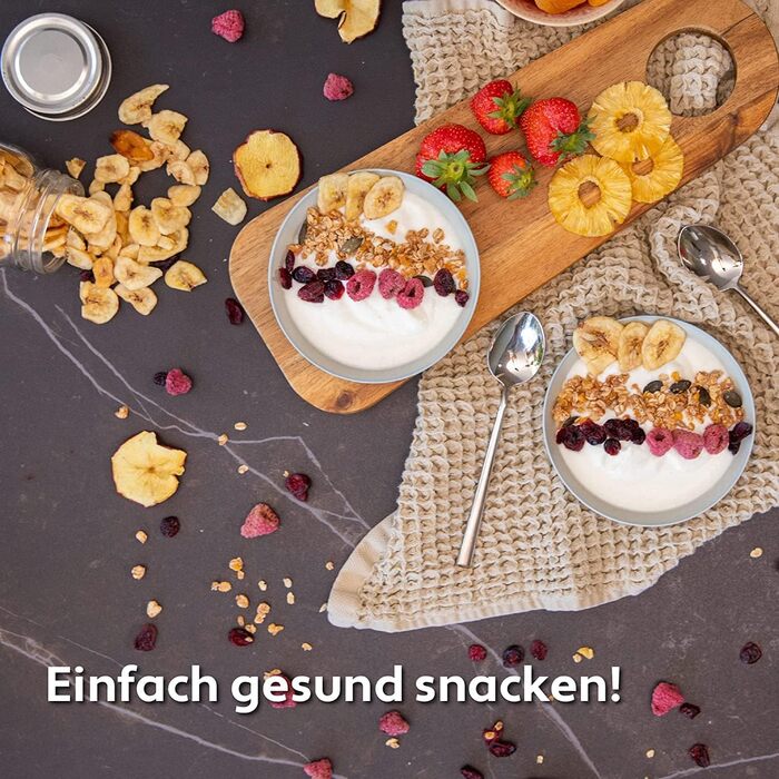 Дегідратор Vita 5 з 6-ма решітками з нержавіючої сталі - 0,7 м² сушарної поверхні, регулювання температури (35-75°C) для фруктів, овочів, м'яса. 650W, 24H таймер, LED дисплей, 6 етапів, нержавіюча сталь