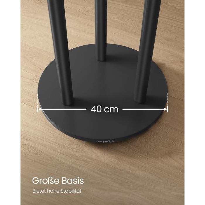 Дзеркало-вішалка VASAGLE для прихожей, спальні, вітальні, чорний RCR023B01