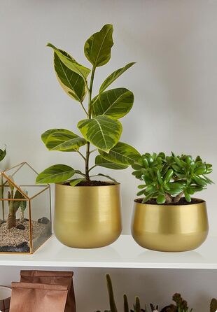 Квітчаки для саду Vixdonos з латуні, 2 шт. (19,5 см, 16/19 см), круглі, для сукулентів, золотистого кольору