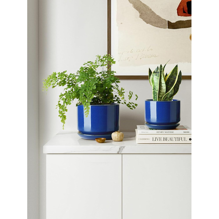 Набір керамічних горщиків LE TAUCI 3 шт. (11, 13, 17 см), горщики для кімнатних рослин з підставкою та дренажним отвором, реактивна глазур (бежевий, сапфіровий блакитний)