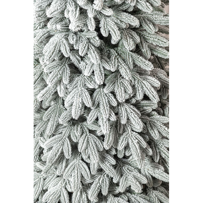 Ялинка лита 'Лапландська' ЗАСНІЖЕНА ПАРАСОЛЬКА 1,50м