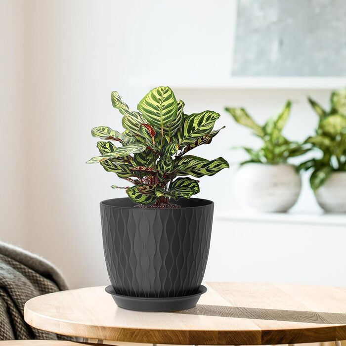 Набір горщиків для квітів з системою поливу, 17.8 см, 5 шт., з підставкою, для дому та балкону, чорний