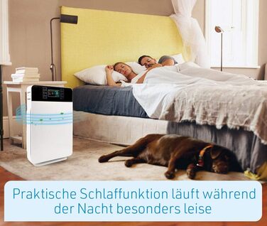 Повітряочисник Livington AirPurifier для кімнат до 30 м² – для алергіків, проти пилу, пилку та шерсті тварин, з автоматичним режимом та таймером