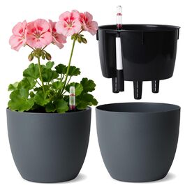 розмір: 17,5 см