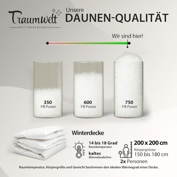 Німецька пухова ковдра 135x200 см з 90% пуху та 10% пера, для всіх сезонів, гіпоалергенна, сертифікат Öko-Tex 100 Клас 1, Downpass