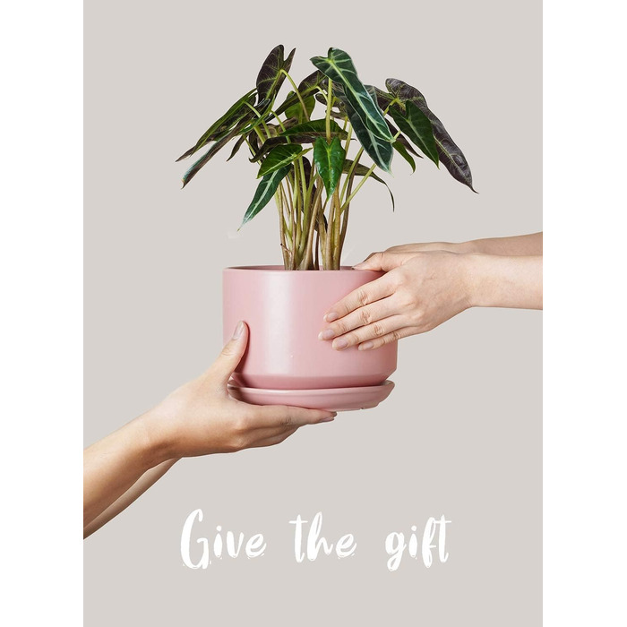 Набір горщиків для квітів LE TAUCI (3 шт.) з кераміки, діаметр 11, 13, 17 см, з підставками та дренажними отворами, реактивна глазур, бежево-рожевий