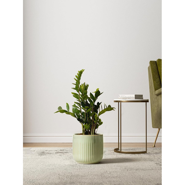 Набір горщиків для квітів LE TAUCI 3шт, кераміка, 21+17+14 см, з дренажними отворами