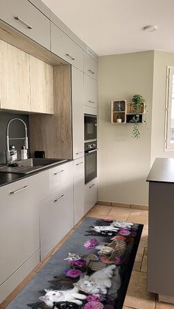 Килимок HomeLife для кухні, нековзний, миється, 52 х 200 см, зроблено в Італії, брудовідштовхуючий, виготовлений з ПВХ, для внутрішнього та зовнішнього використання, з принтом, малюнок з котами килимки довгі з гуми 200 см (52X550, Котяча кімната)