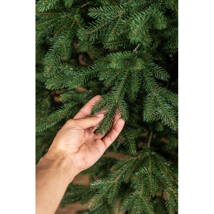 Ялинка лита 'Альпійська' ПАРАСОЛЬКА ЗЕЛЕНА 2,30м