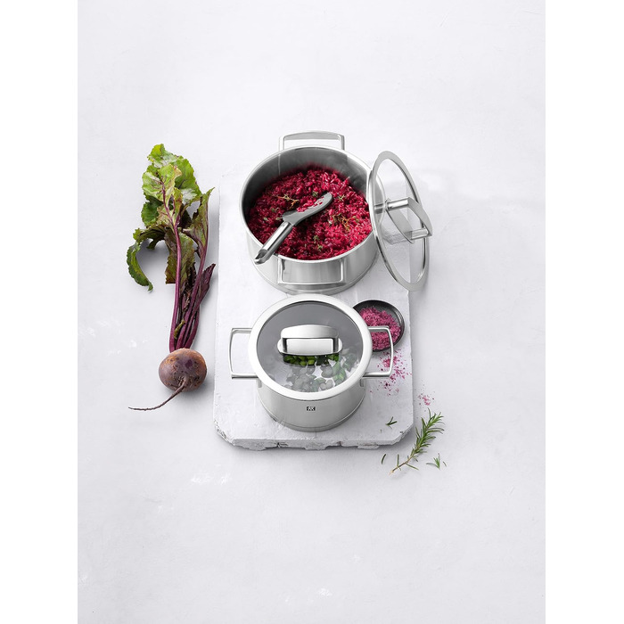 Набір каструль ZWILLING Quadro, 5 предметів, нержавіюча сталь, склокришки, індукційні, без покриття