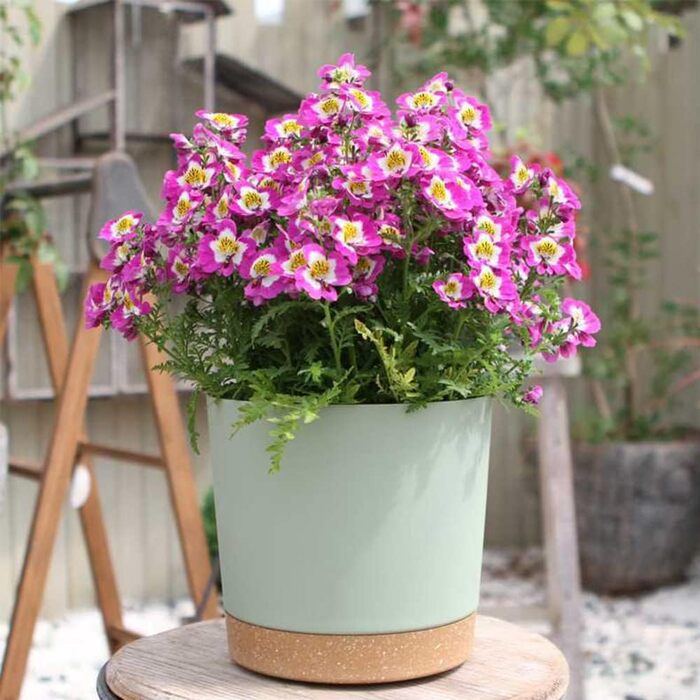 Набір горщиків для квітів ZMTECH 30,5 см (2 шт.) - пластикові, з піддоном, для дому та саду