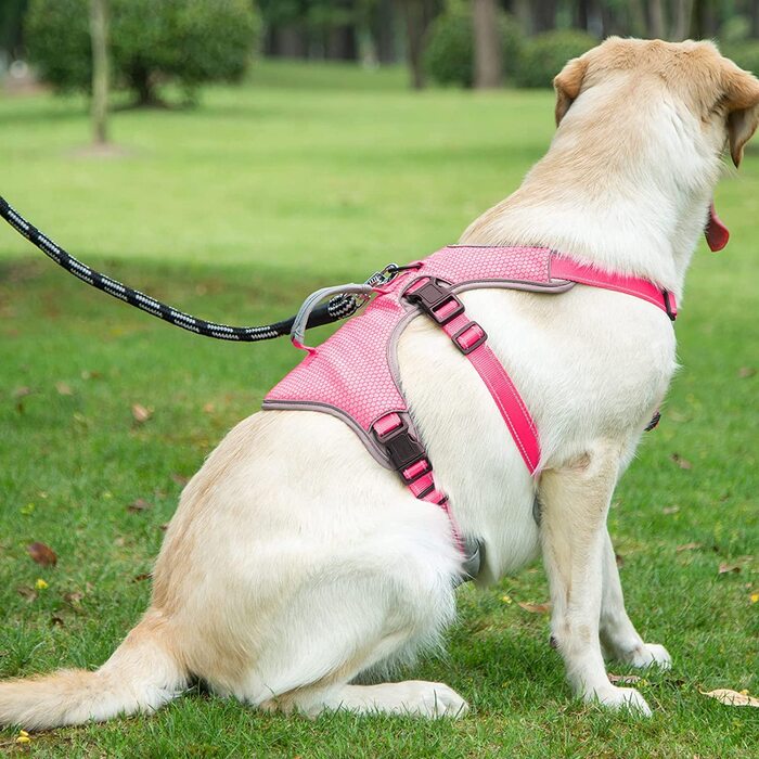 Багатоцільова упряж для собак BELPRO, стійка до злому, що не висмикується, світловідбиваюча, регульований жилет з міцною ручкою, упряж для великих / активних собак (М) (з (1 упаковка), рожева)