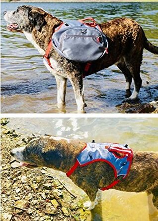Рюкзак для собак iEnergy MAE-шлейка 2 в 1 і знімний рюкзак для собак-водонепроникний і включає в себе дві пляшки для пиття з термосами (великі) по уці (1 упаковка)