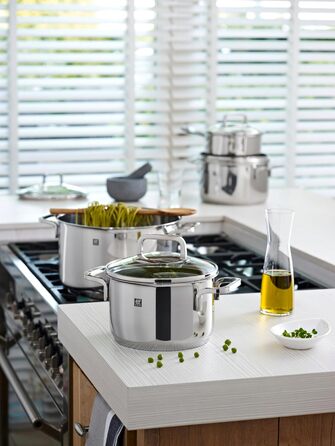 Набір каструль ZWILLING Quadro 5-ти з нержавіючої сталі, без покриття, 4 скляні кришки, підходить для індукційних плит