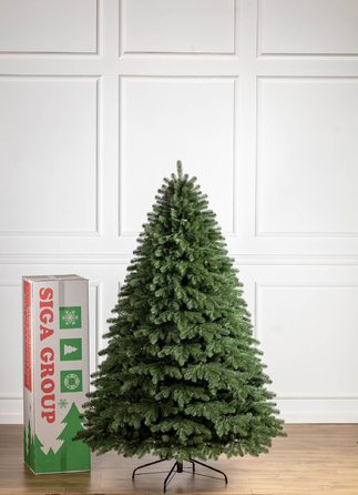 Ялинка лита 'Версальська' Зелена 2,50м