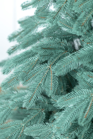 Ялинка лита 'Лапландська' ПАРАСОЛЬКА БЛАКИТНА 1,50м