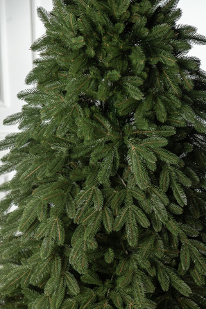 Ялинка лита 'Лапландська' ПАРАСОЛЬКА ЗЕЛЕНА 3,00м