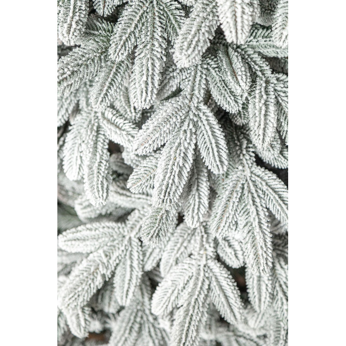 Ялинка лита 'Лапландська' ЗАСНІЖЕНА 2,50м