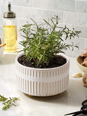 Набір горщиків для сукулентів LE TAUCI, 16,5+20 см, кераміка, з дренажними отворами, сучасний циліндричний дизайн, набір 2 шт., реактивна глазур білого кольору