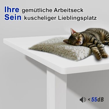 Стіл JUMMICO з регулюванням висоти: міцний каркас, 3 пам'яті, для сидіння та стояння (білий), 100 x 160 см