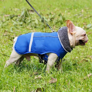 Світловідбиваючі пальто PENIVO для холодної погоди, регульована одяг для собак, зимова Водонепроникна Вулична куртка для собак, утеплена тепла куртка для собак, светр для маленьких і середніх собак (L, Синій) L (упаковка з 1) Синій