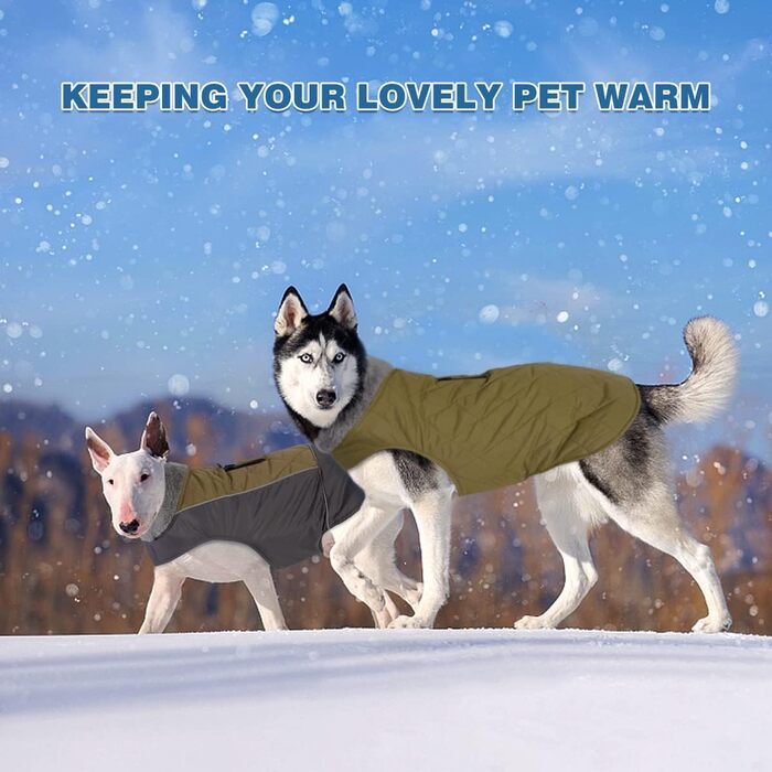 Тепла собача шуба Besmall для маленьких і середніх собак, куртка для собак з бавовняною підкладкою, водонепроникна, вітрозахисна для зими, змінний дизайнерський одяг (XL,) (XXXL (розмір грудей 78-92 см), зелена)