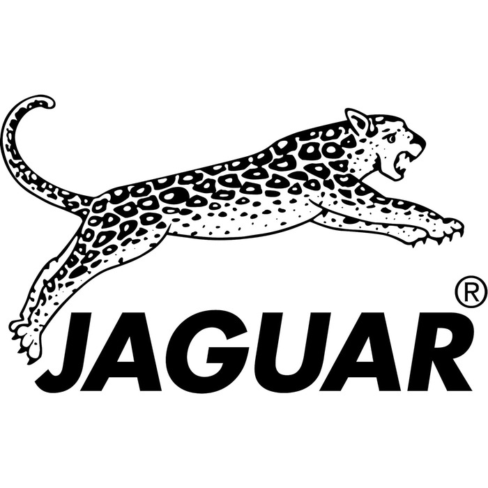 Перукарські ножиці Jaguar Gold Line Heron, довжина 15,2 см, 0,1 кг