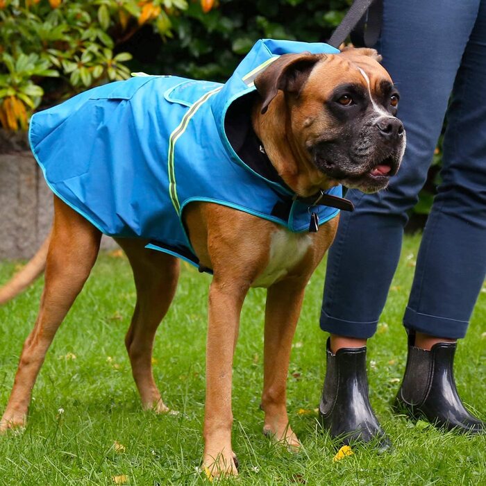 Дощовик для собак Bella & Balu водонепроникний, з капюшоном і світловідбивачами, M, помаранчевий, в т.ч. підгузки для собак XL, помаранчевий