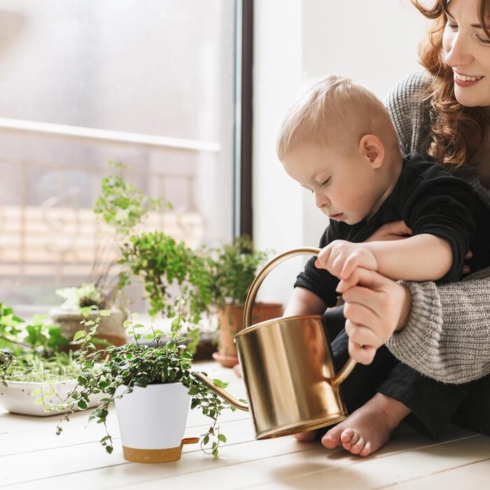 Набір горщиків для квітів 6 шт. з автополивом, чорний (білий+коричневий), 20.3-12.7 см. Ідеально для дому та балкону